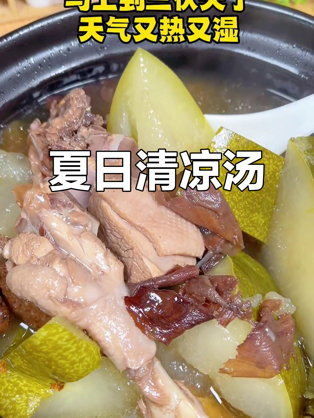 三伏天必备,水鸭冬瓜汤清热去湿,消暑降火