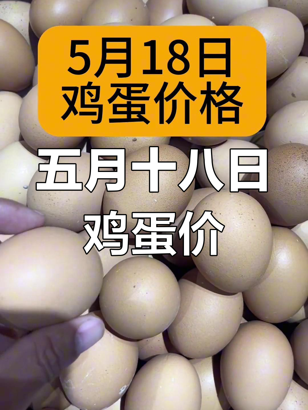 5月18日全国鸡蛋价格大揭秘,土鸡蛋市场行情一览