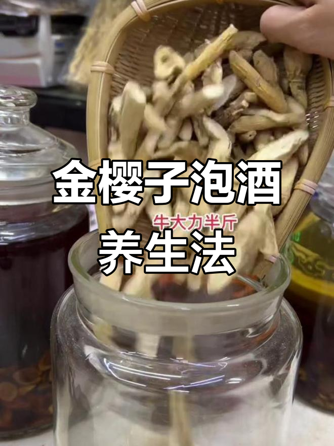 牛大力金樱子泡酒,两个月后喝出健康与活力