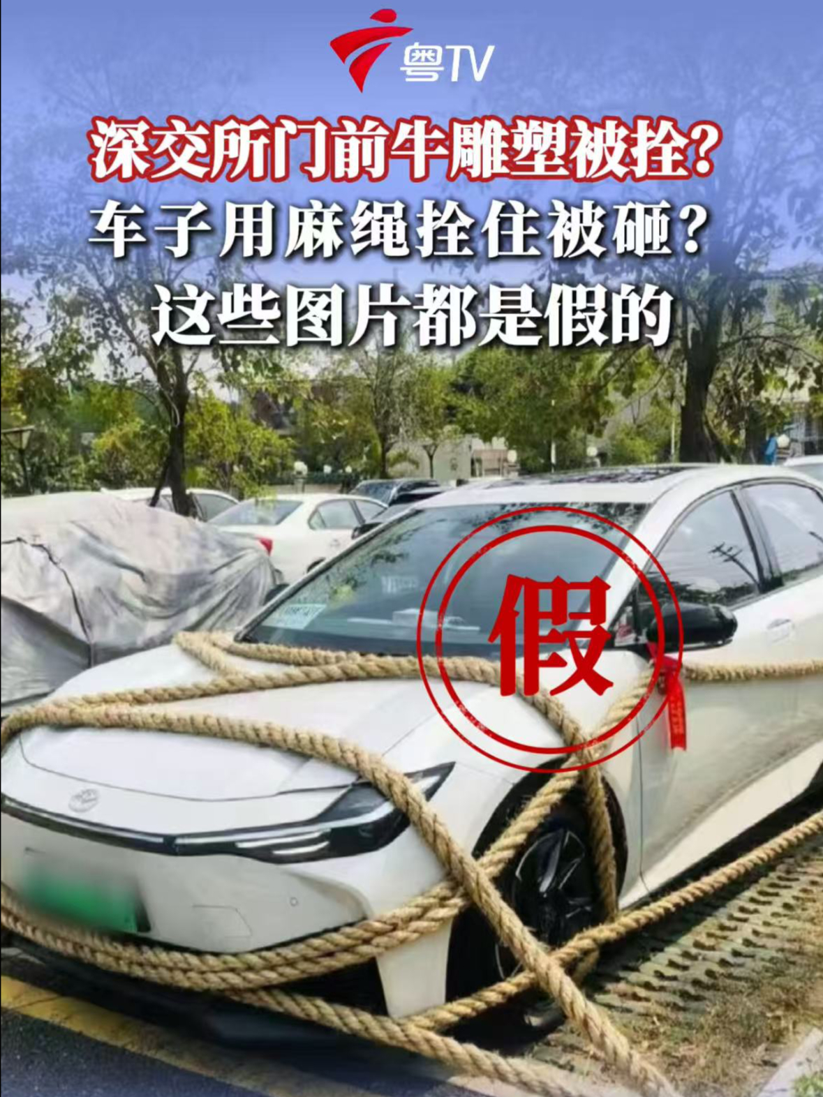 深交所门前牛雕塑被拴?车用麻绳拴住被砸?这些图片都是假的