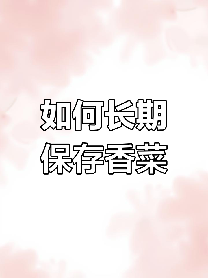 香菜保存全攻略,保持新鲜一年不变质