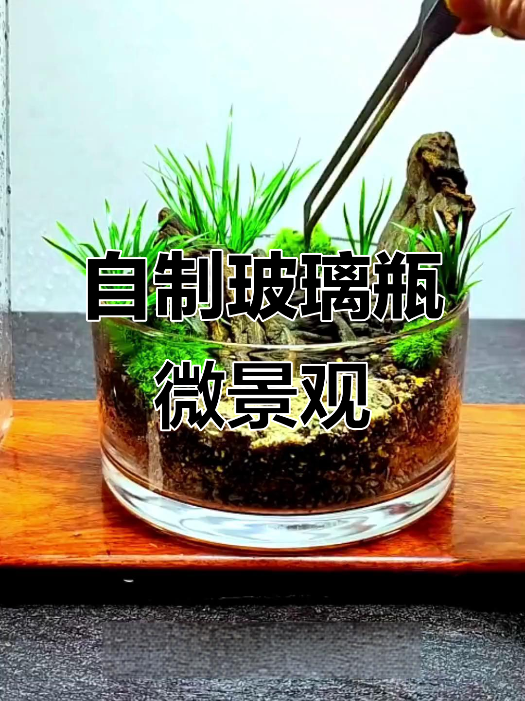 玻璃瓶微景观制作:苔藓与木头的完美结合