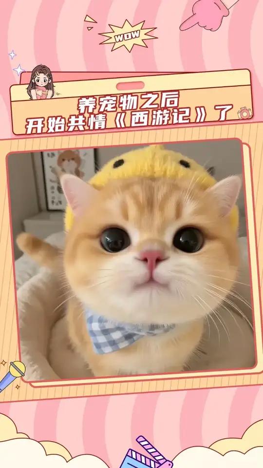 猫:可是妈妈,吃了唐僧肉,我就能陪妈妈一辈子了