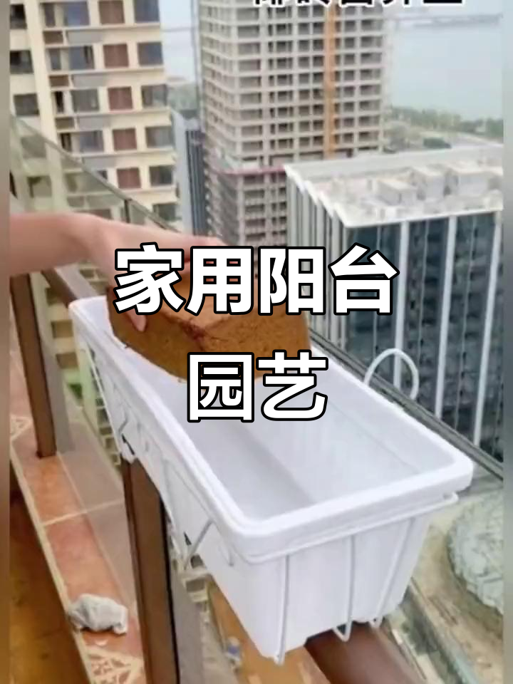 阳台菜园设计,打造家庭绿植天堂