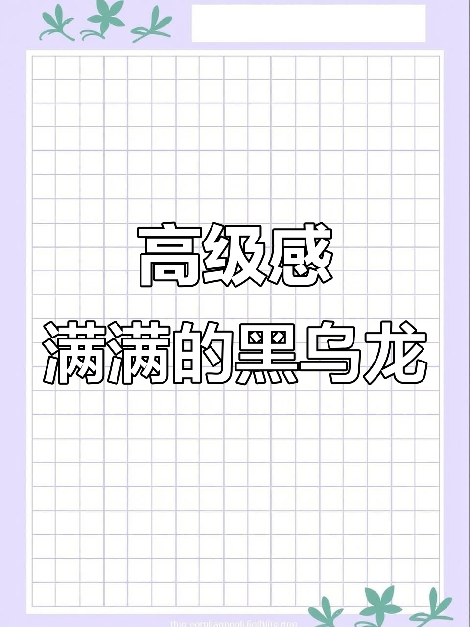 黑金配色黑乌龙奶茶,零负担灵芝之末新升级