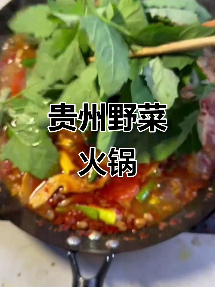贵州野菜火锅,春天必试的下饭神器