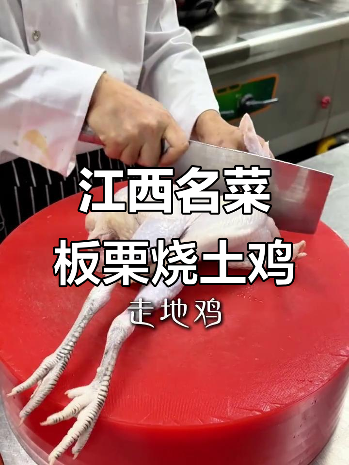 江西鹰潭板栗烧土鸡,农家散养种地鸡搭配美味板栗