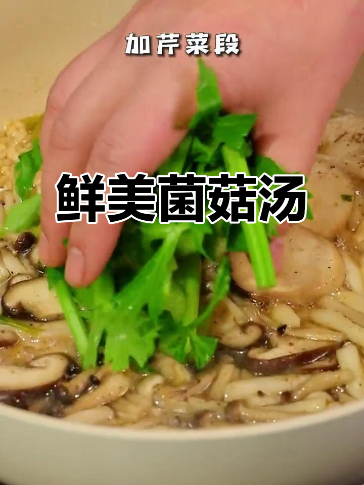 各种蘑菇熬汤底料,简单又美味!