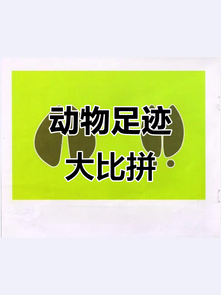 小鸡小鸭小猫小狗，谁的脚印最有趣？