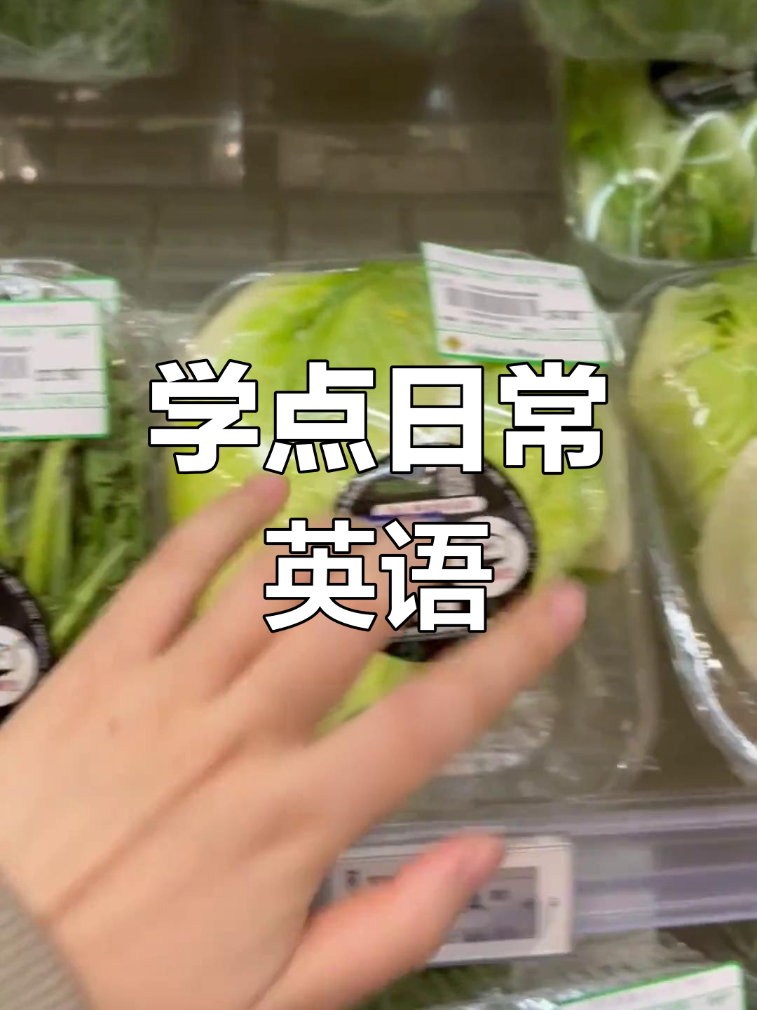 绿色蔬菜的英语怎么说?