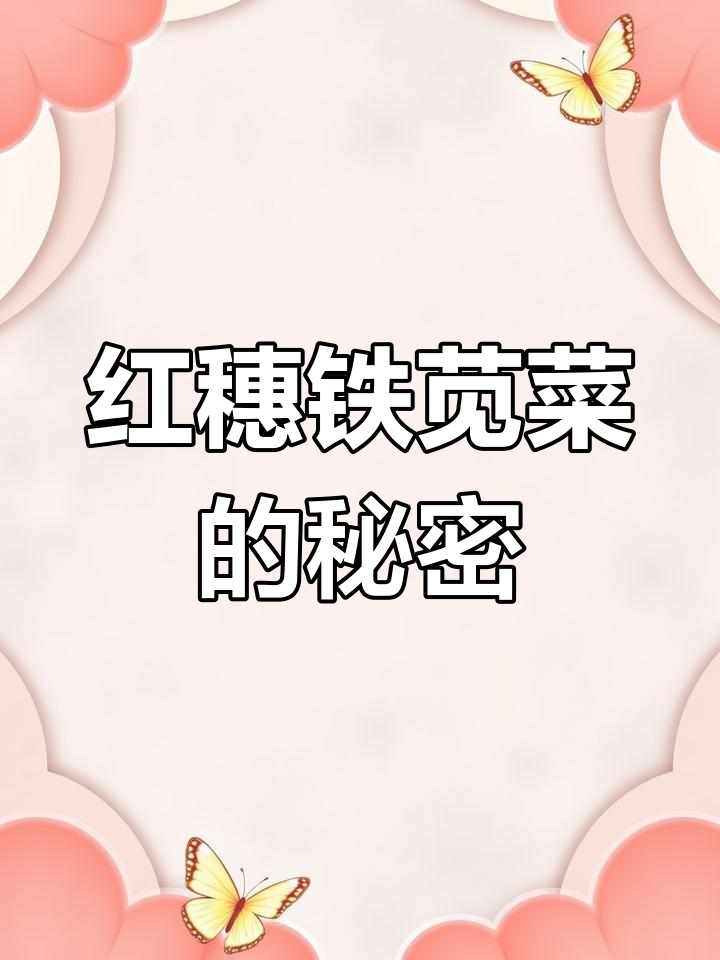你家乡有这种植物吗?红穗铁苋菜了解一下