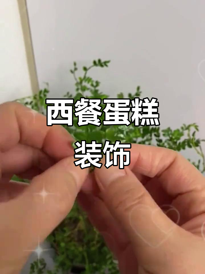 清新蛋糕装饰,西式摆盘点缀,胡椒木增添自然气息