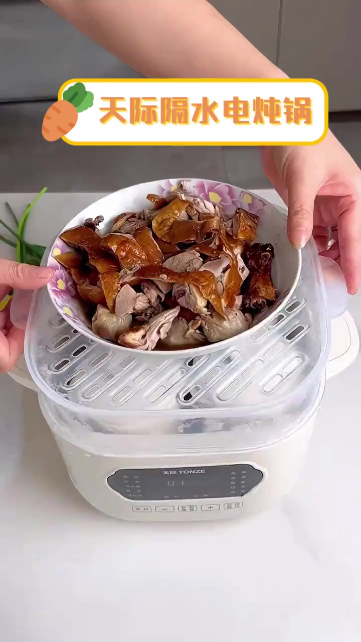 天际隔水电炖锅