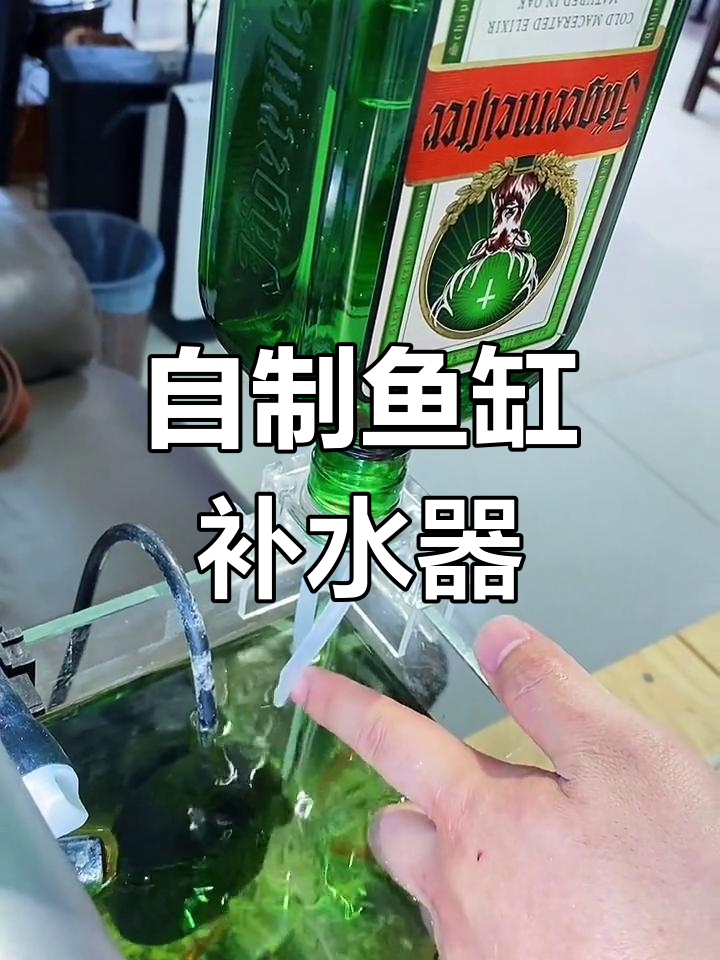 简单实用!自制鱼缸补水器