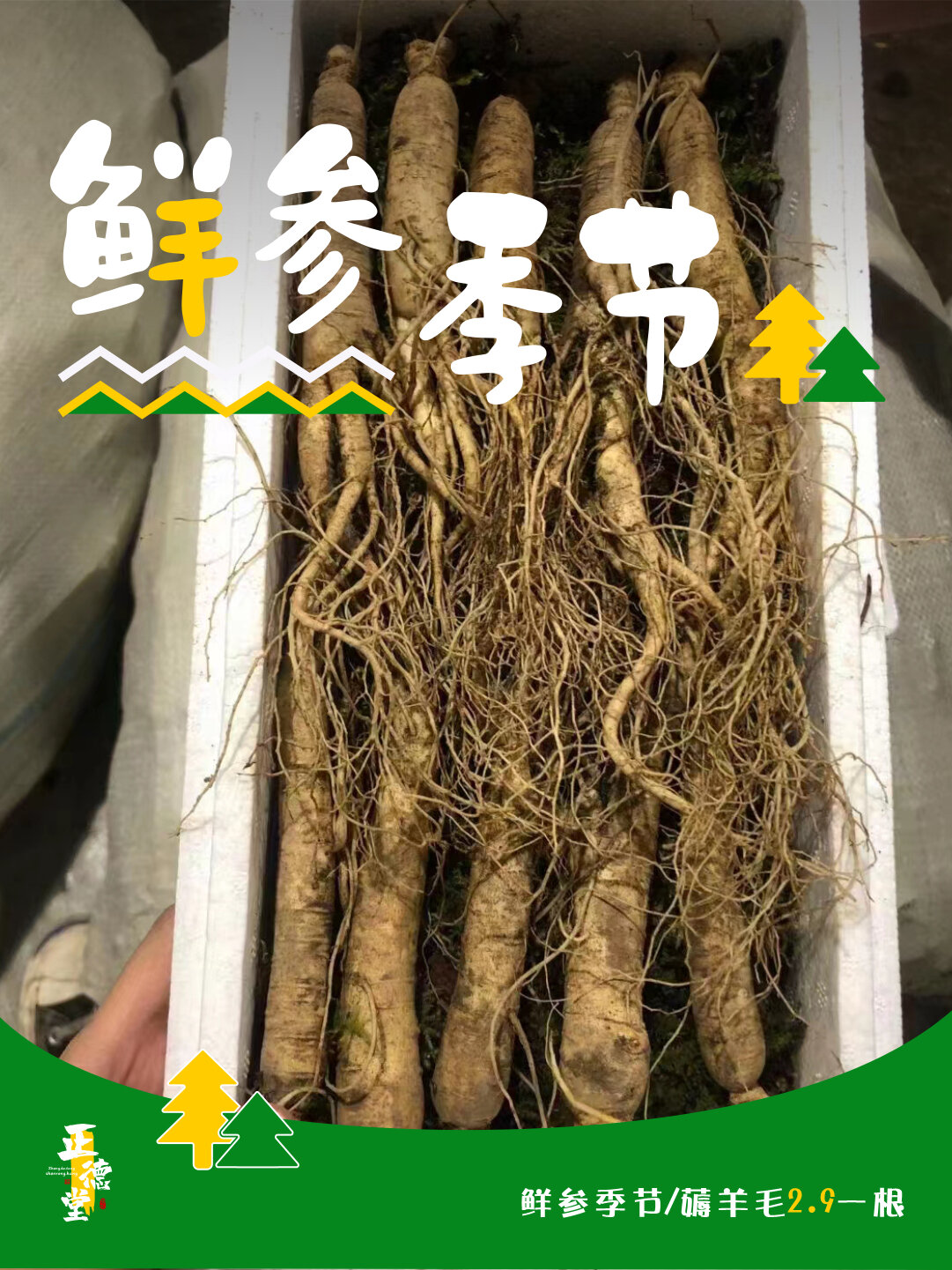 鲜人参的N种吃法