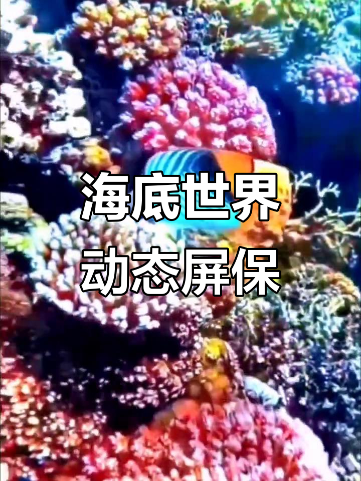 探索神奇海底世界,动态壁纸让你身临其境
