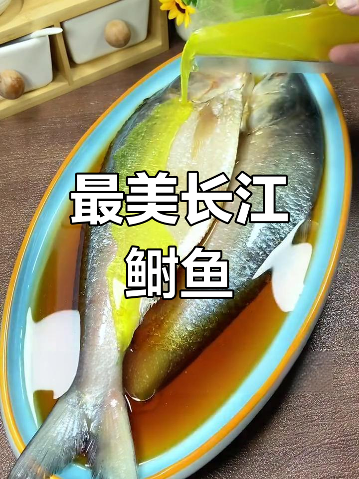 鲥鱼:长江三鲜之首,最美水产品