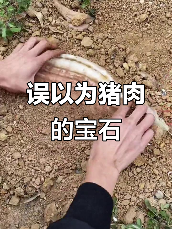 老人误以为是猪肉,结果发现价值160万的石头