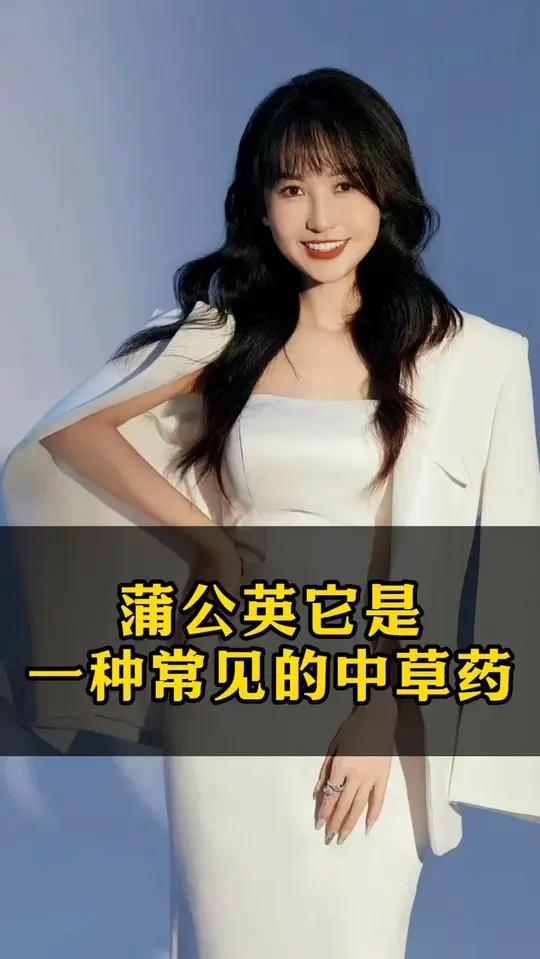 蒲公英它是一种常见的中草药!
