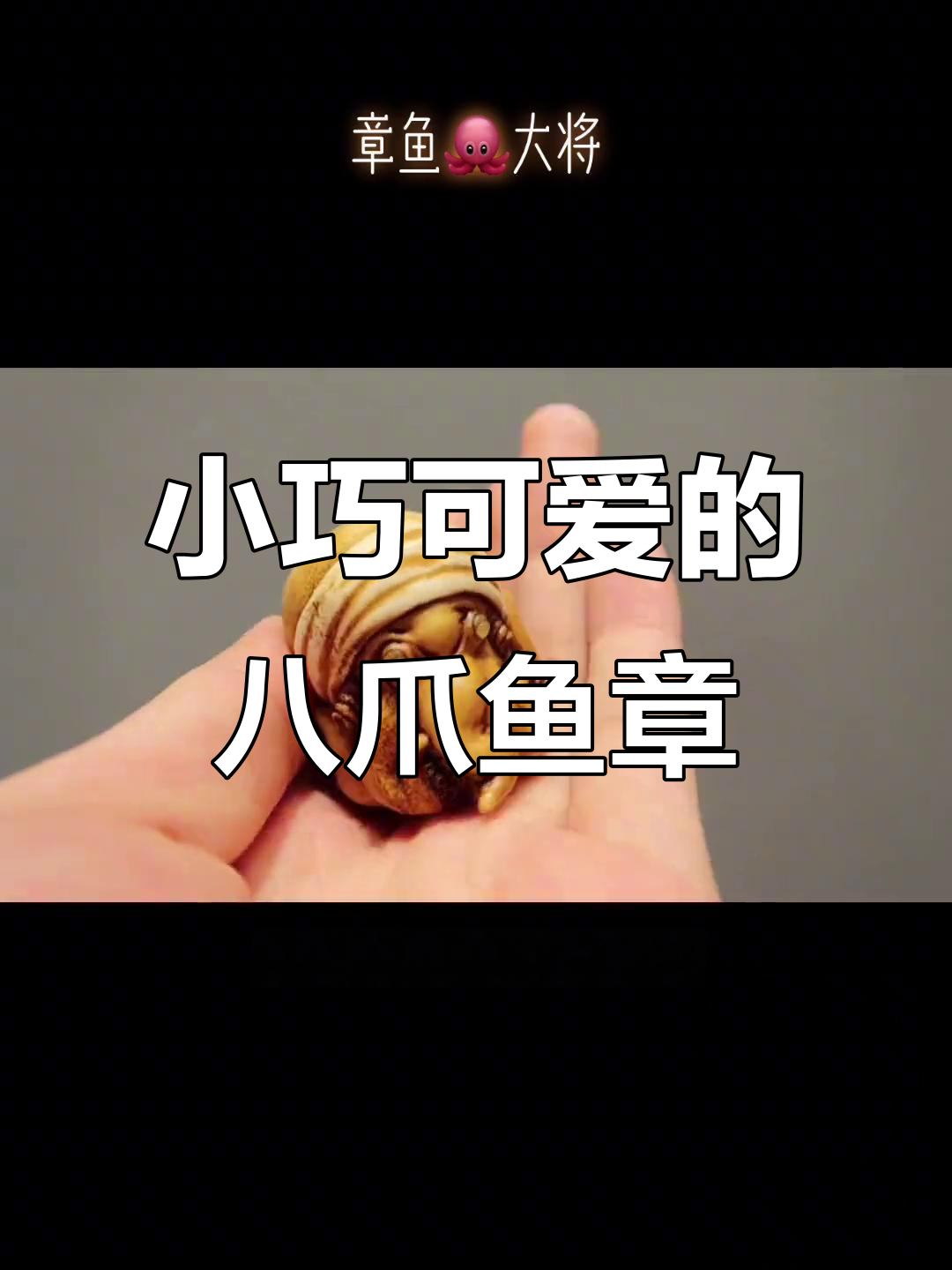八爪鱼章,寿司师傅的创意手工小作品