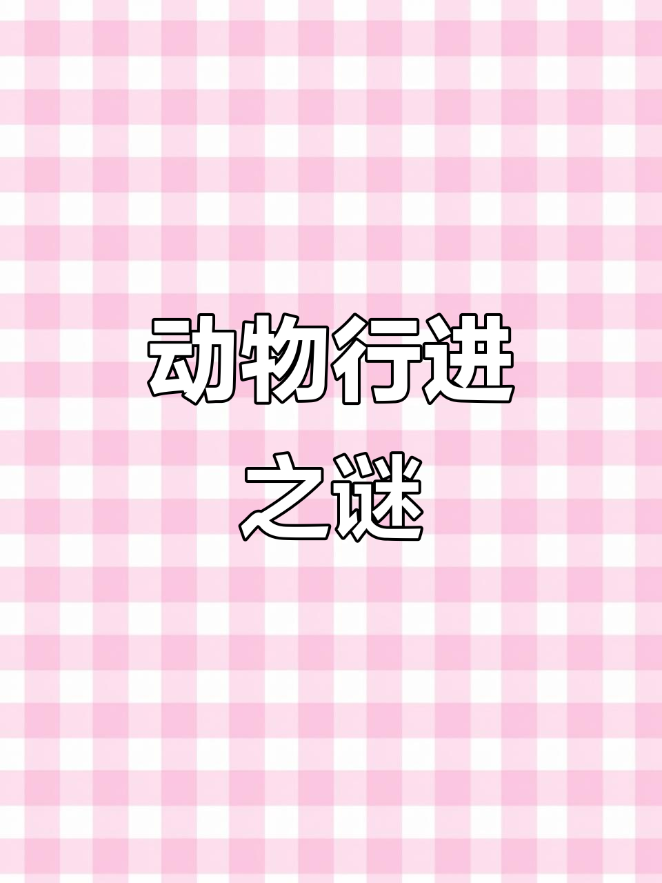 鸭子排队前行，鸡却乱跑，背后原因揭晓！