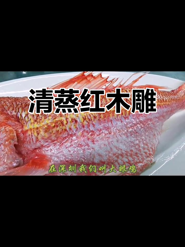 红目鲢清蒸大眼鸡,鲜美又营养的海味佳肴