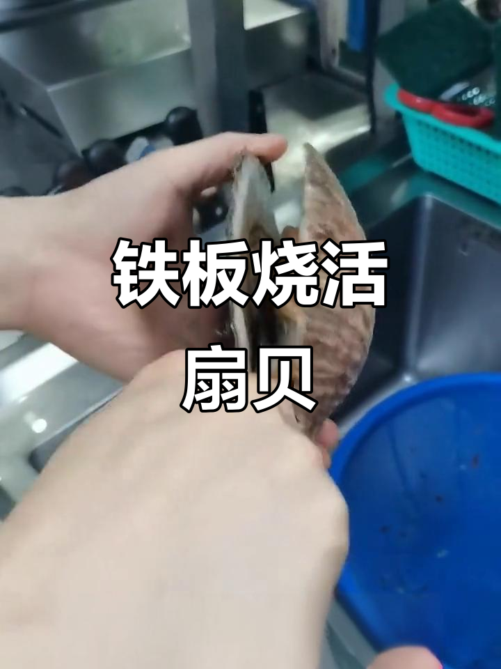 进口活扇贝铁板烧，鲜甜美味大揭秘