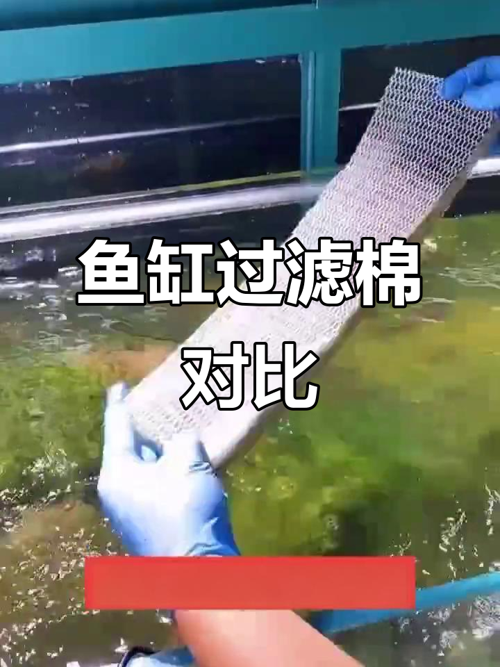 鱼缸过滤棉测评：哪种最耐用，效果最强？