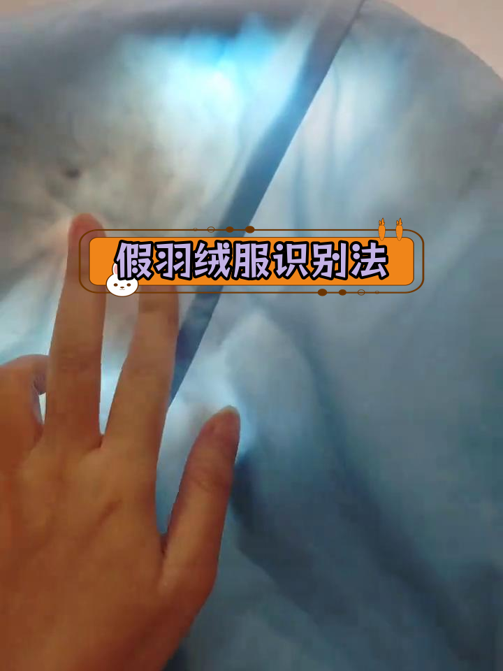 如何辨别真假羽绒服,无需拆开