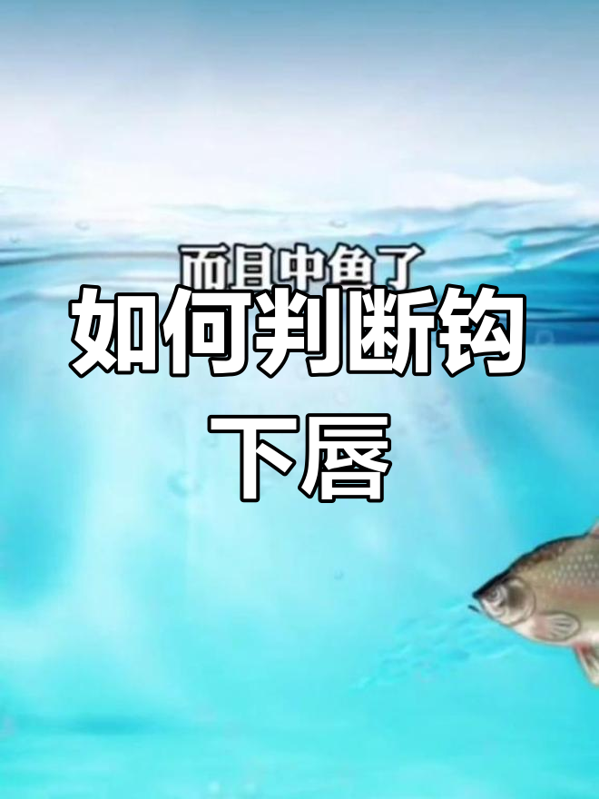 浮漂信号中鱼位置判断调钓是否过钝