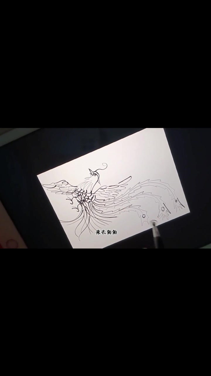 糖画 简笔画 绘画过程凤凰