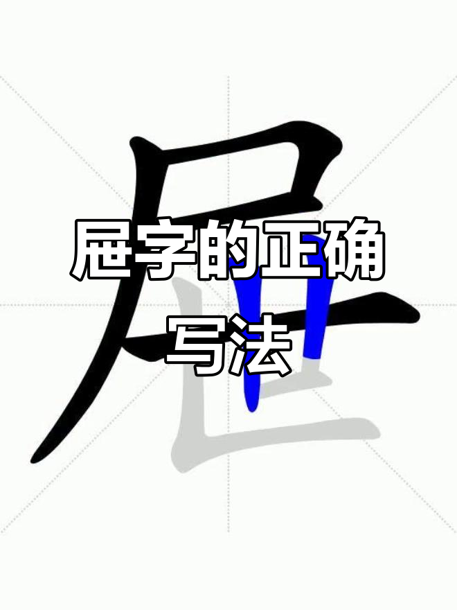 轻松学会“屉”字笔画顺序,一步步教你写对每一笔
