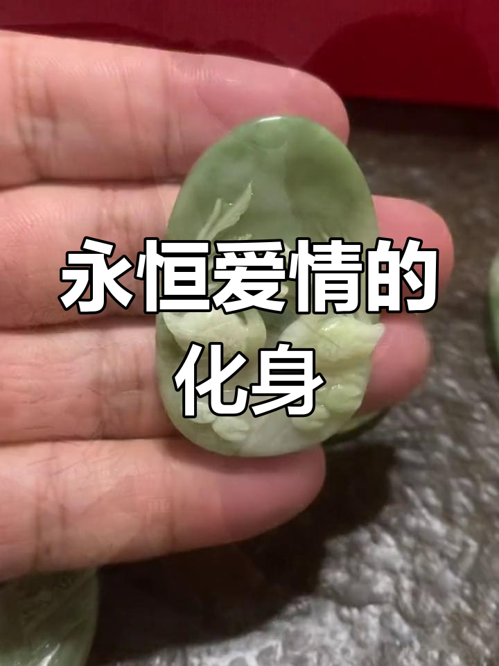 天鹅的忠诚与爱情象征