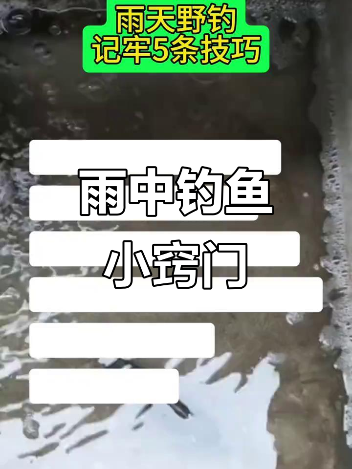 下雨天钓鱼技巧大揭秘,如何应对湿滑环境