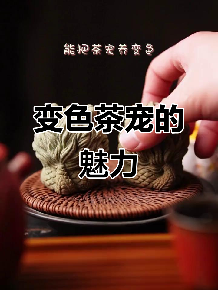 青砂石开运暴富龙宝宝,茶宠变色带来的乐趣与文化