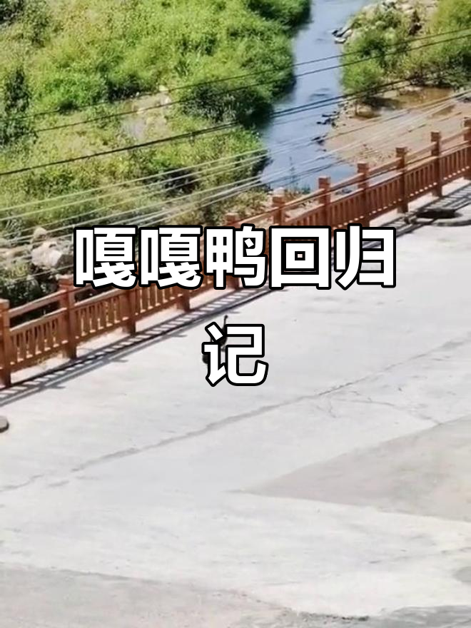 半年不见,嘎嘎鸭又回来了!国庆中秋假期里的小插曲