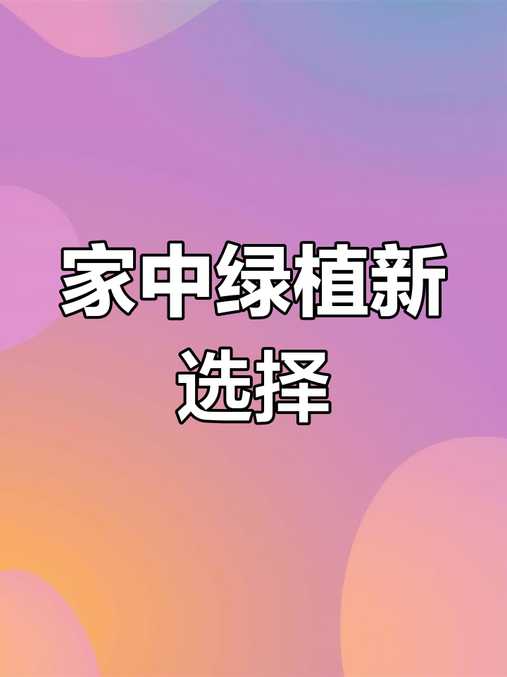 鸭脚木盆景,轻松养护,提升家居风格