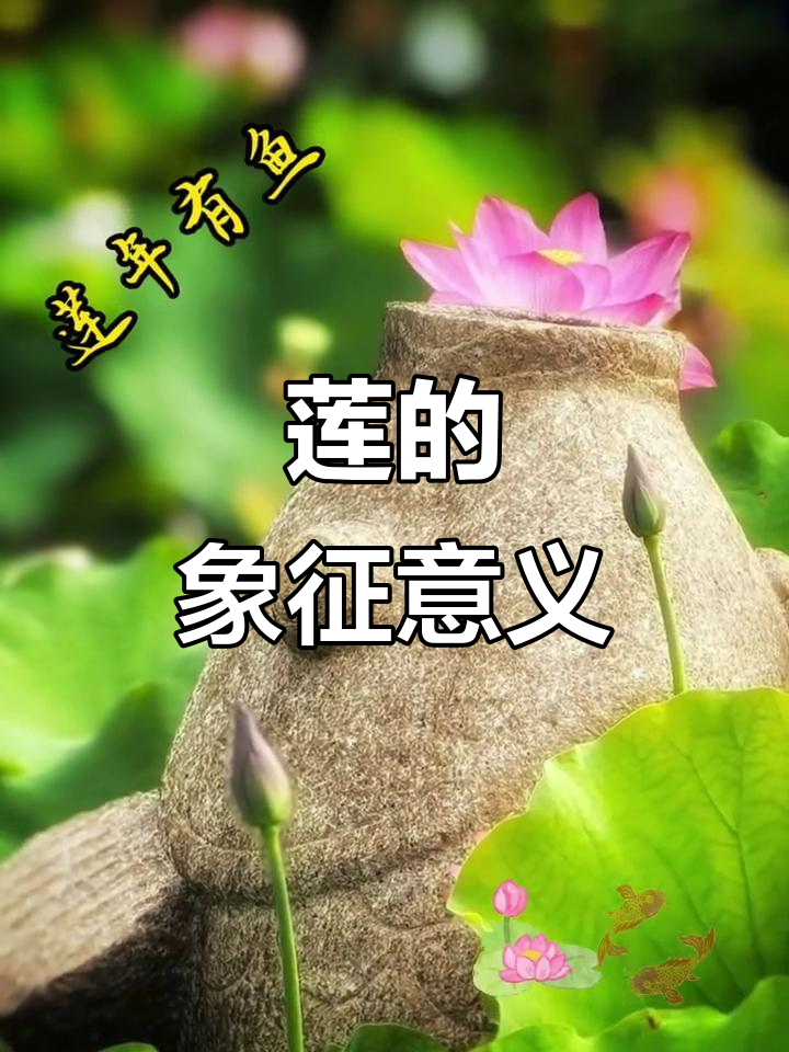莲叶下鱼戏,寓意丰收、传承与智慧,最终超越尘世