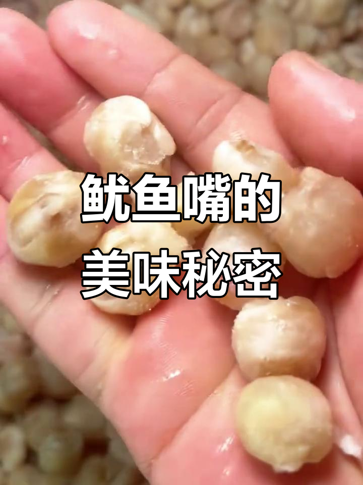 鱿鱼嘴鲜美十足,口感丰富,脆骨咬劲十足,回味无穷!