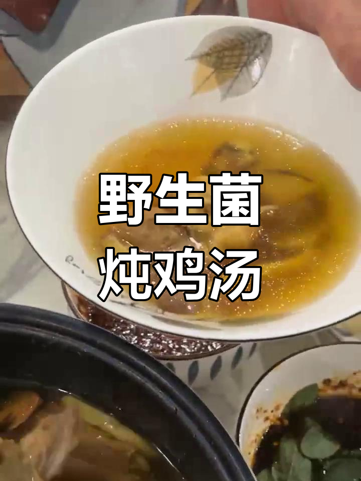 野生菌与鸡汤的完美融合,滋补又美味