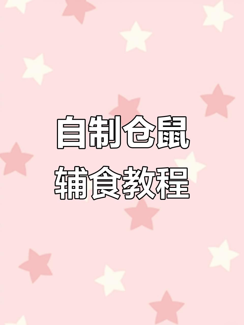 仓鼠辅食制作大揭秘,营养满满的一餐