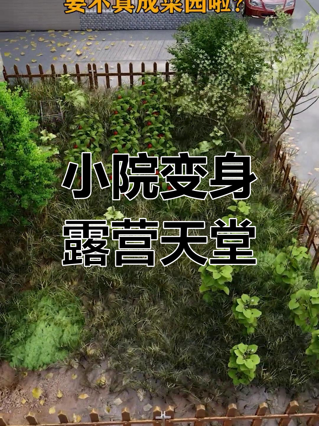 菜园变露营地,私家花园这样改造更惬意