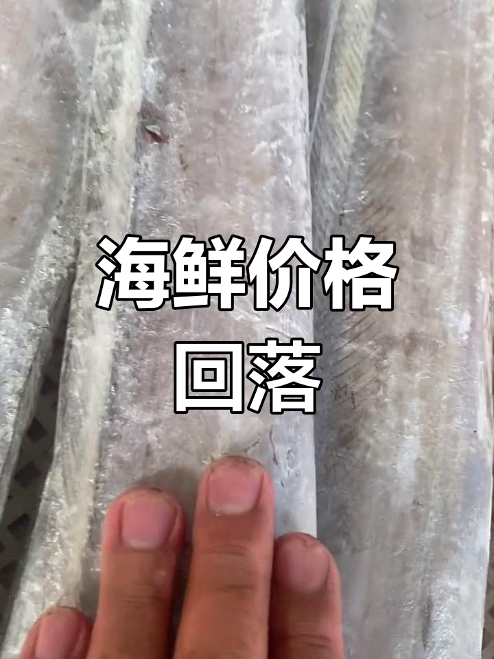 大连海鲜淡季,大带鱼特价,刀鱼也便宜了!