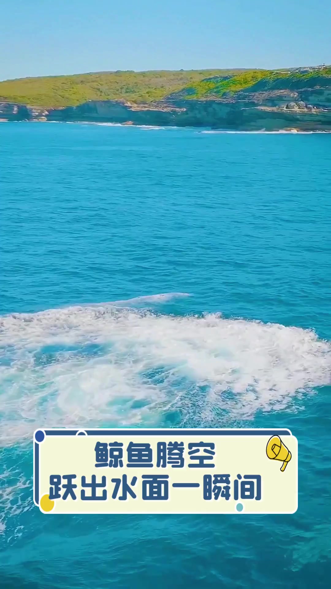 鲸鱼腾空,跃出水面一瞬间