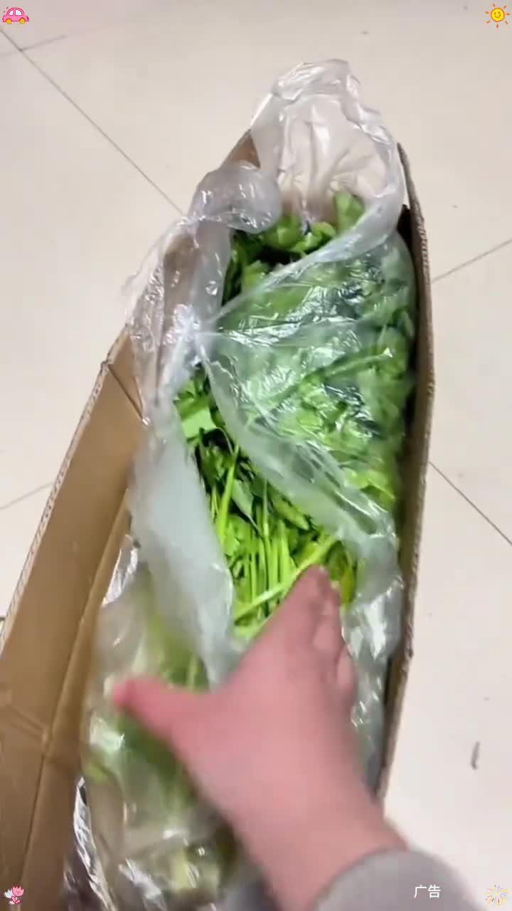 我才花了13.8买了五斤芹菜,本来图便宜买的,没想到收到货品质也太好了,我们这边超市一斤都
