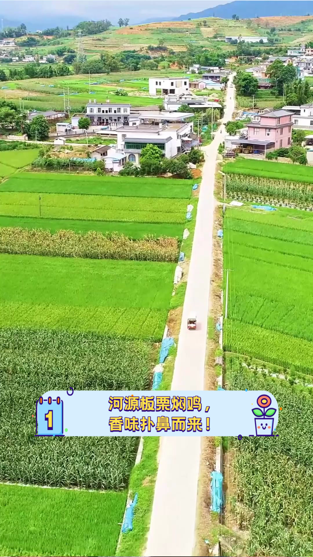河源板栗焖鸡,香味扑鼻而来!