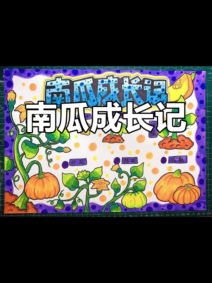 南瓜成长全纪录,手抄报记录植物生长过程