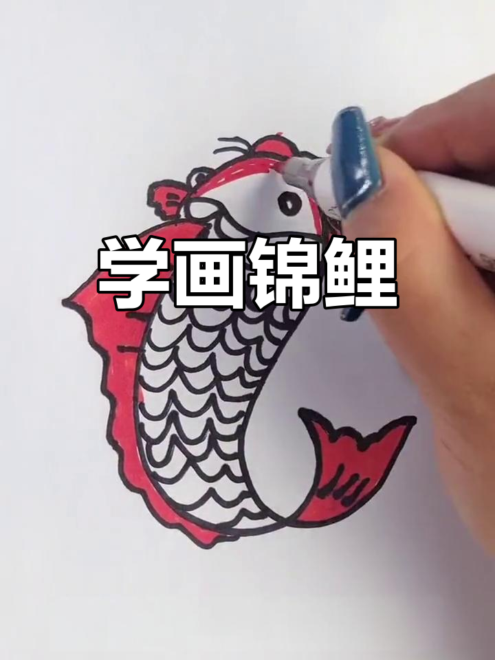 简单步骤画出可爱鲤鱼