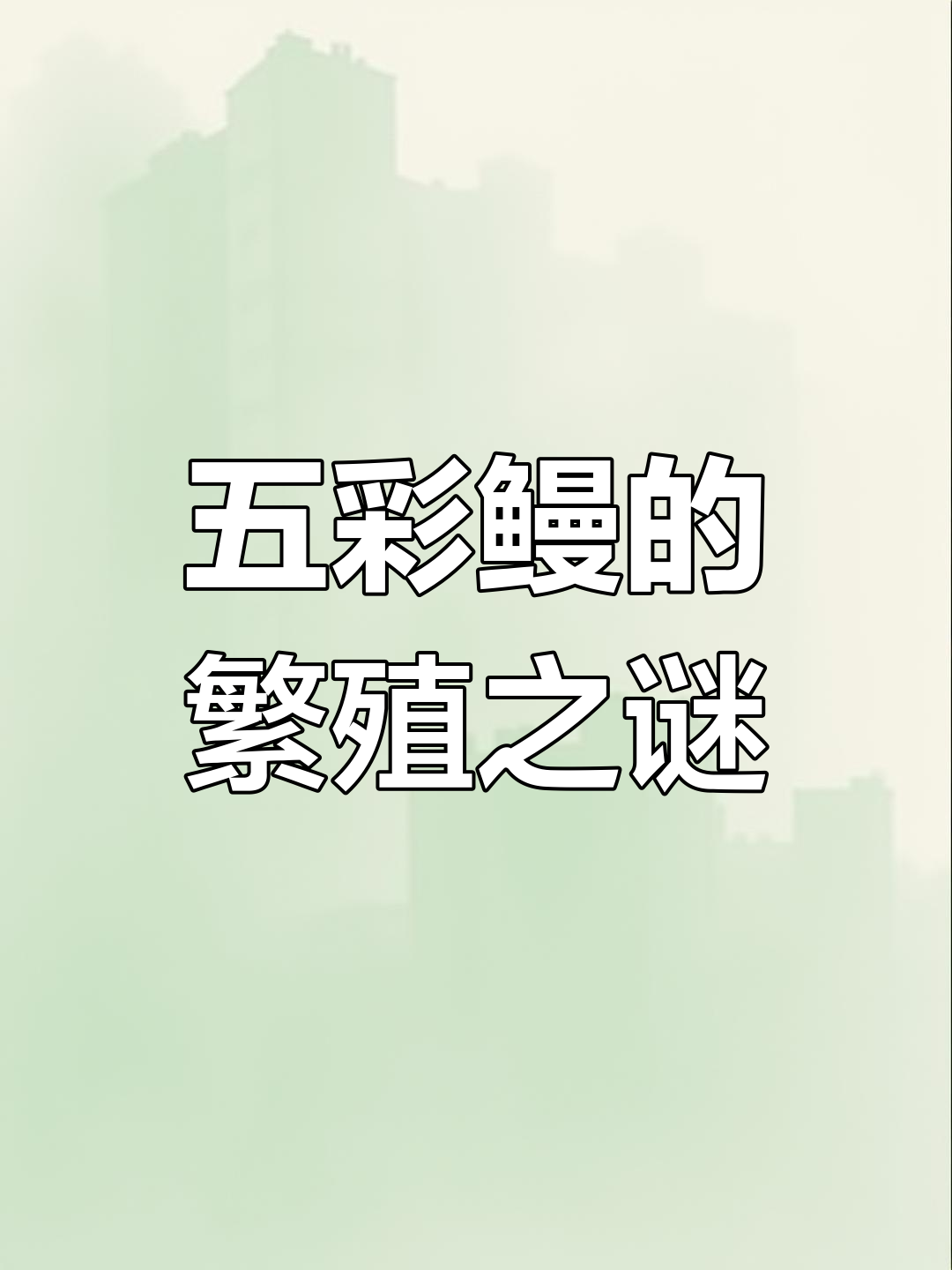 五彩鳗性别多变,如何保证繁衍?