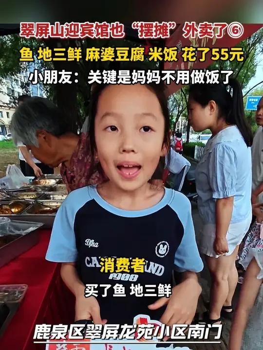 7月7日，河北石家庄，翠屏山迎宾馆也“摆摊”外卖了⑥，地三鲜 麻婆豆腐 米饭 花了55元，